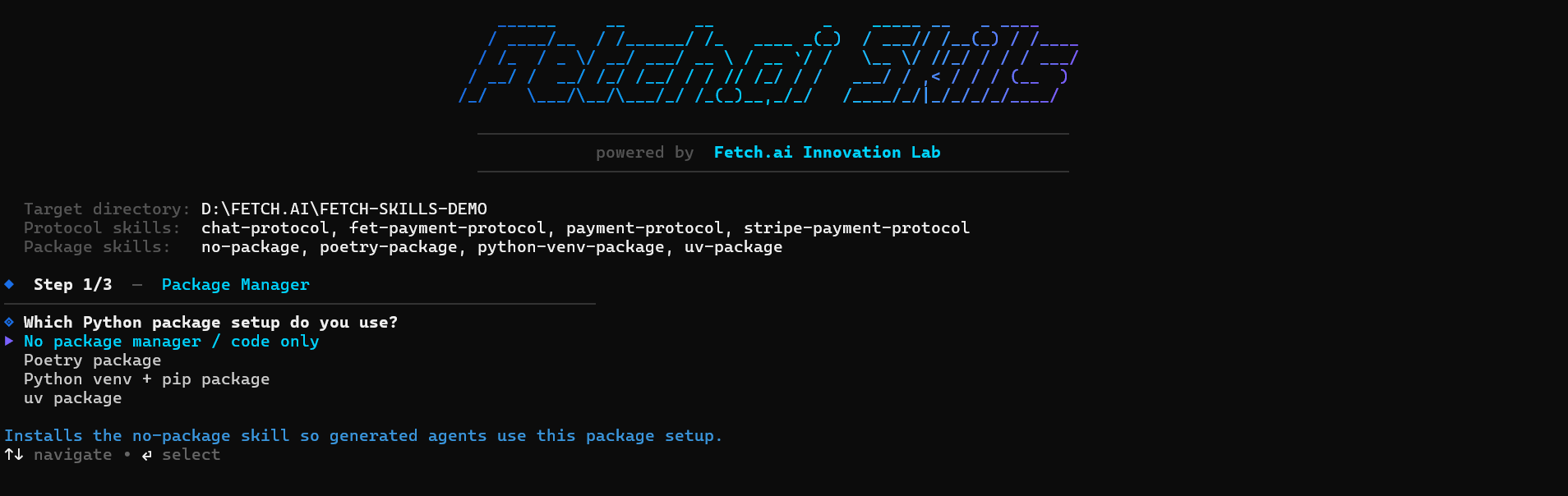 Fetch-skills interactive wizard interface