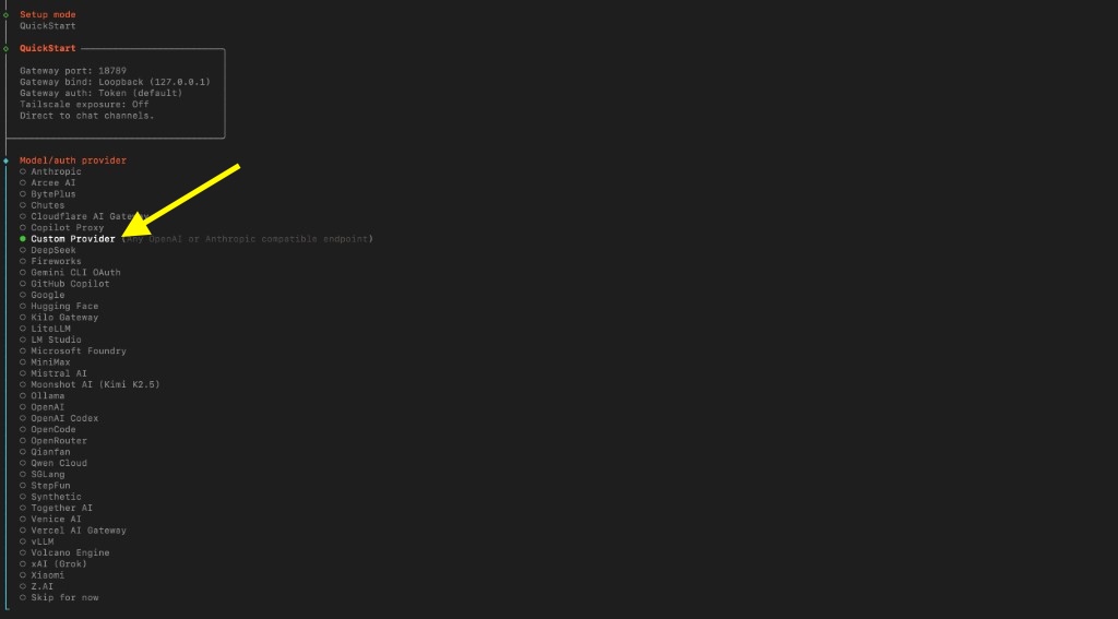 Model/auth provider — Custom Provider selected